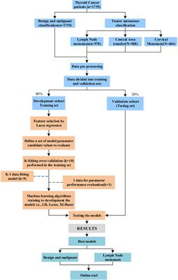A machine learning-based approach to predicting the malignant and metastasis of thyroid cancer